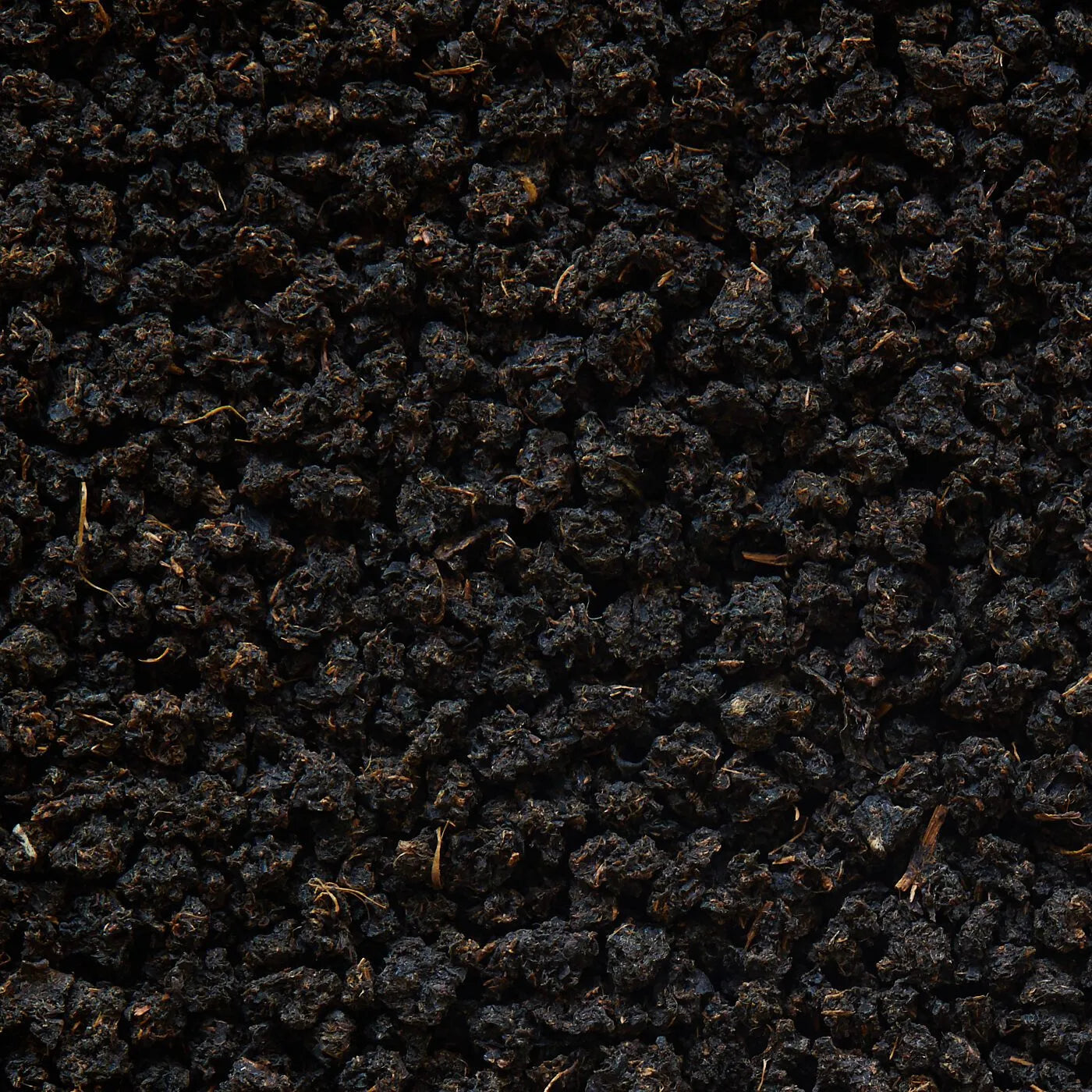 Broken Assam Schwarztee „Typhoo“ Bukhial BOP - 50 g