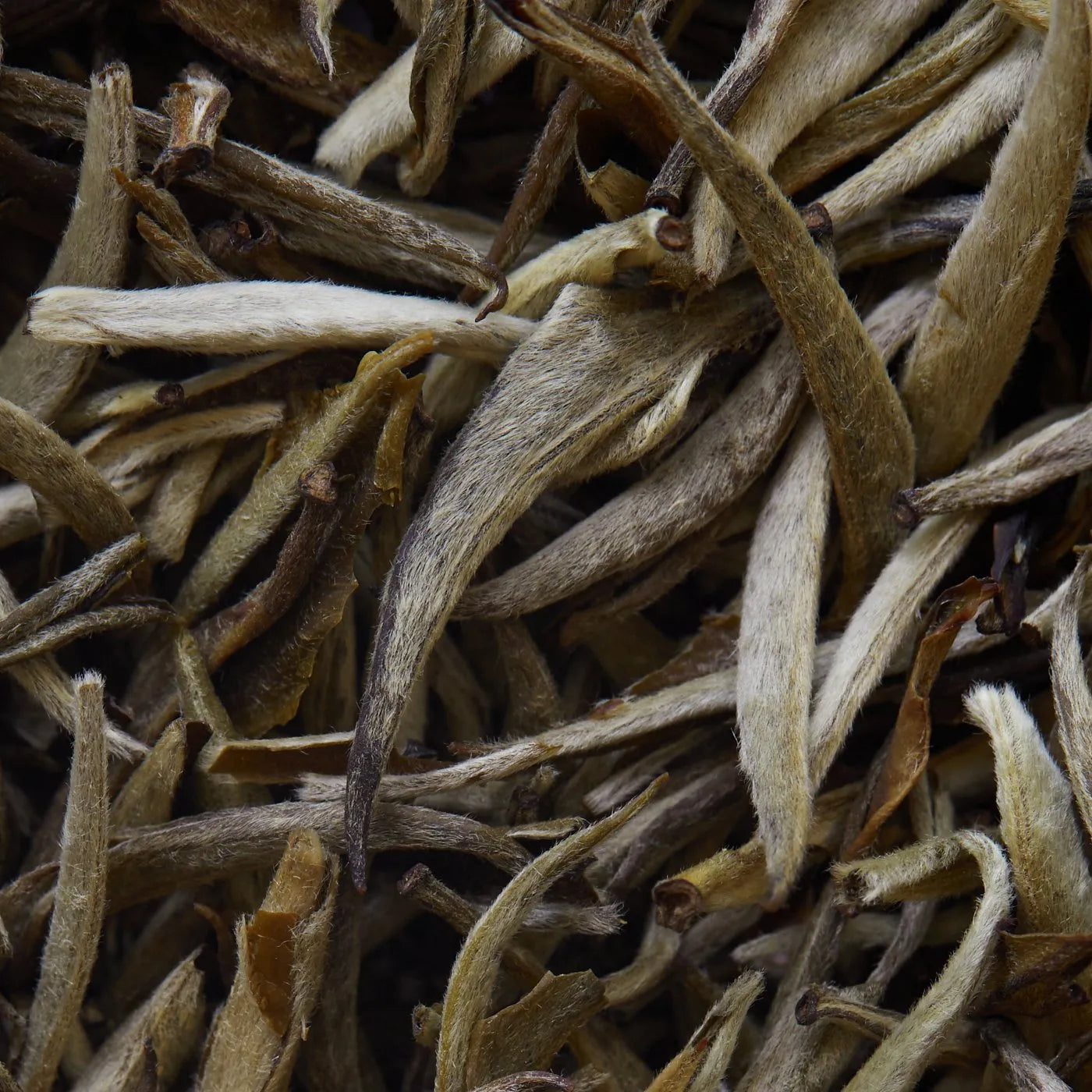 JASMIN IMPERIAL Weißer Tee - 50 g