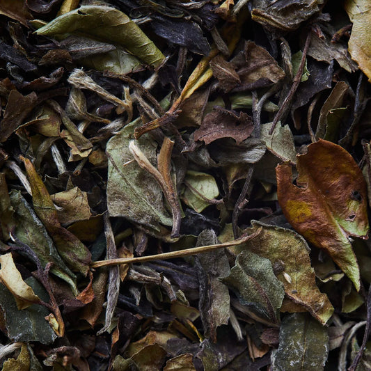 BAI MU DAN Weißer Tee - 50 g