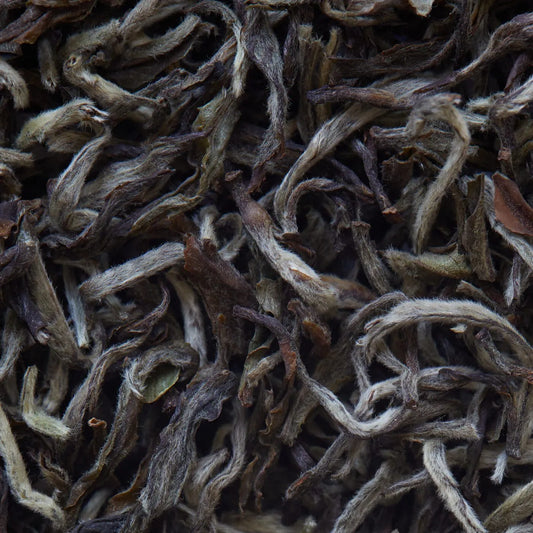 Bio Nepal SHANGRI LA Weißer Tee - 50 g