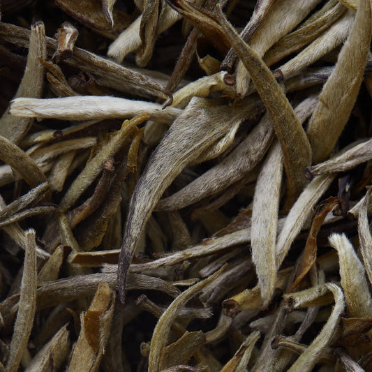 JASMIN IMPERIAL Weißer Tee - 50 g