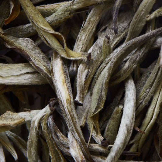 YUNNAN YIN ZHEN Weißer Tee - 50 g